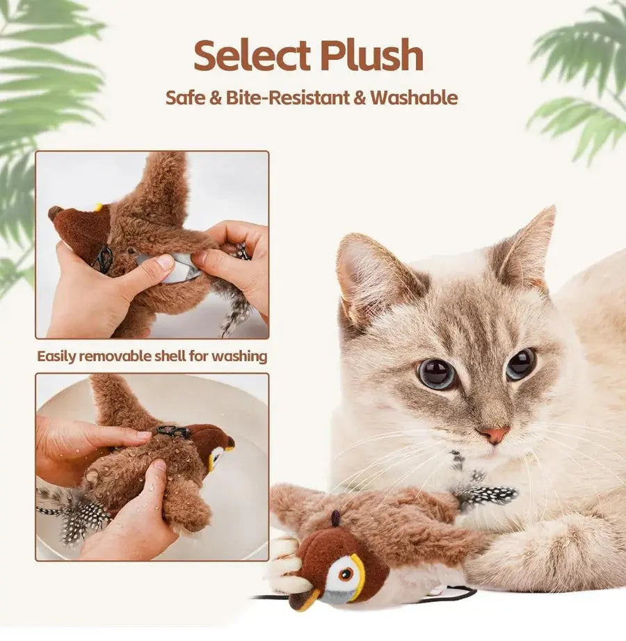 Flapping Cat Bird Avoxzy