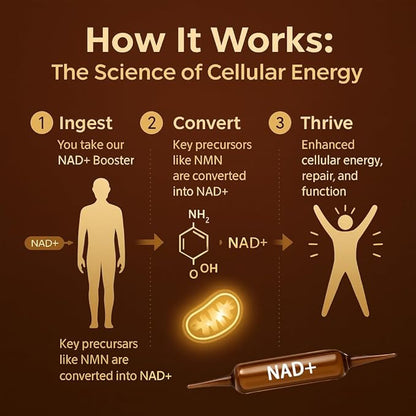 NAD for Anti-Aging