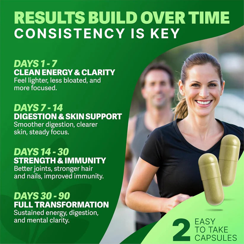 Moringa Capsules – Natural Superfood Supplement