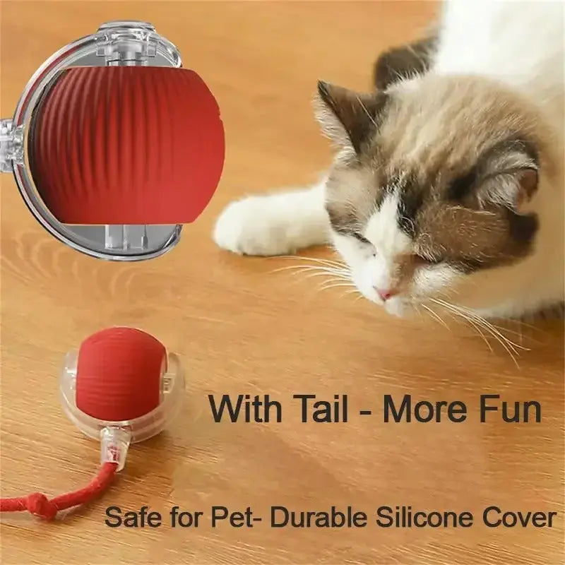 Interactive Automatic Rolling Cat Toys AVOXZY