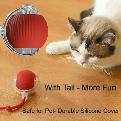 Interactive Automatic Rolling Cat Toys AVOXZY