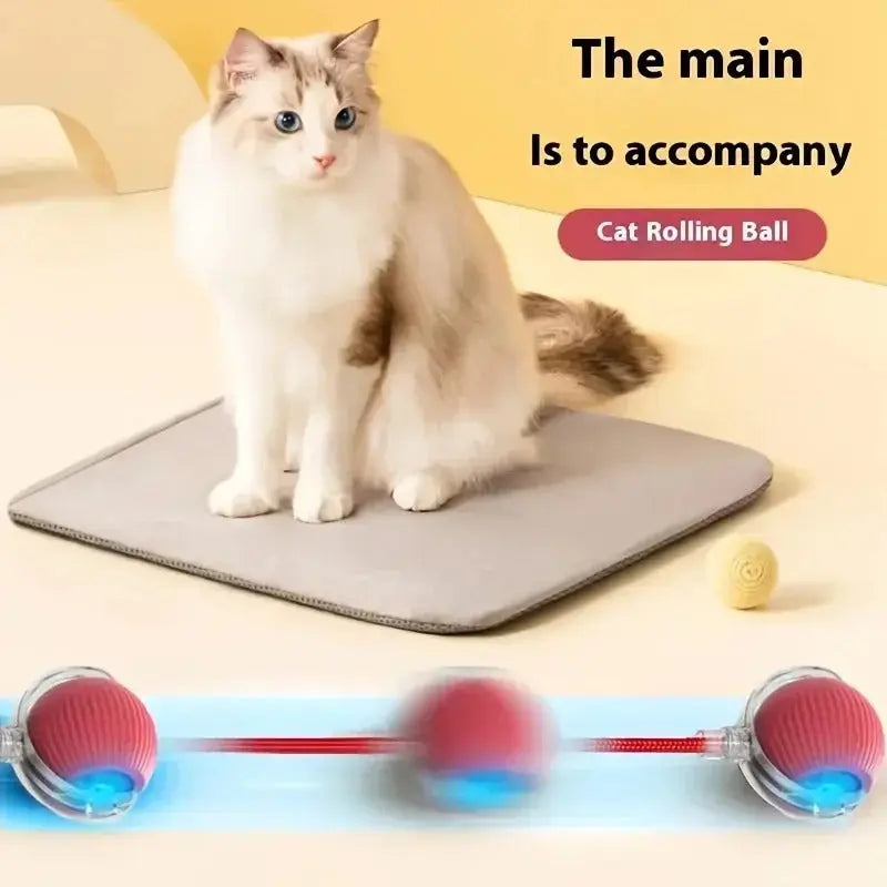 Interactive Automatic Rolling Cat Toys AVOXZY
