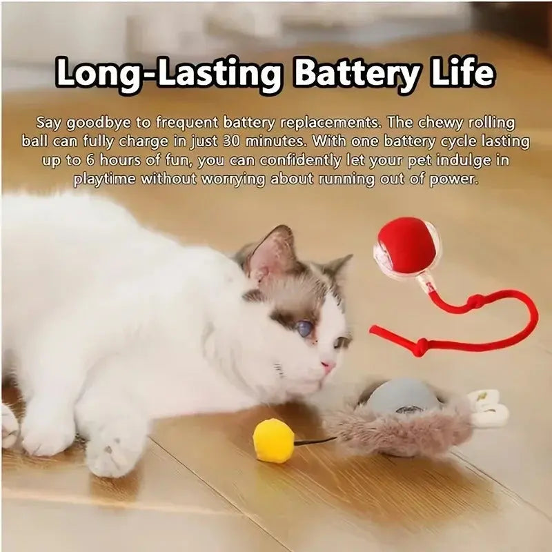Interactive Automatic Rolling Cat Toys AVOXZY