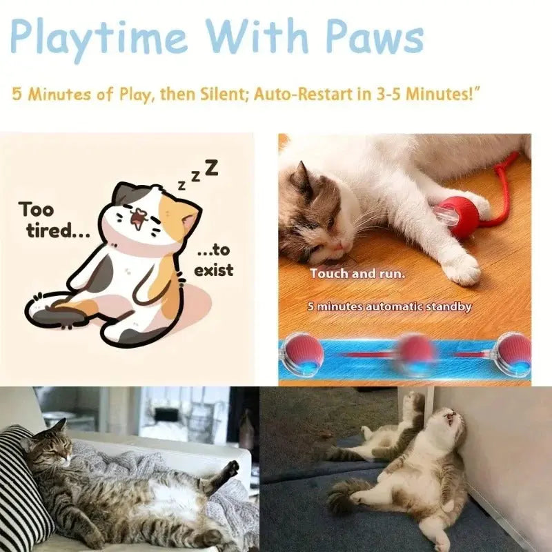 Interactive Automatic Rolling Cat Toys AVOXZY